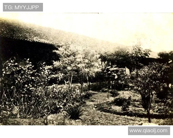 谢什科的传奇人生与不为人知的故事揭示了历史的深刻变迁与文化的交融